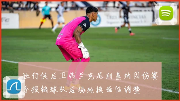 独行侠后卫弗兰克尼利基纳因伤赛季报销球队后场轮换面临调整