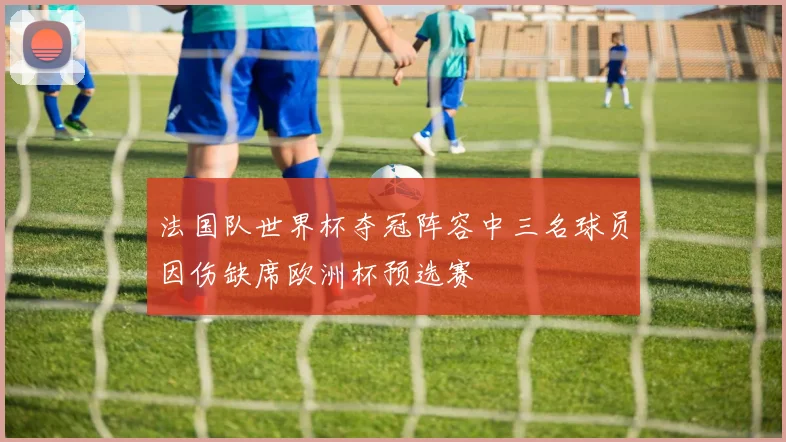 法国队世界杯夺冠阵容中三名球员因伤缺席欧洲杯预选赛