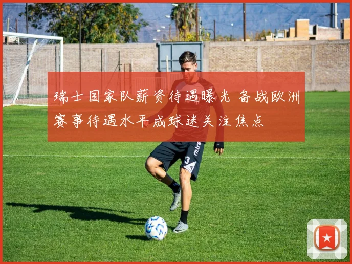 瑞士国家队薪资待遇曝光 备战欧洲赛事待遇水平成球迷关注焦点