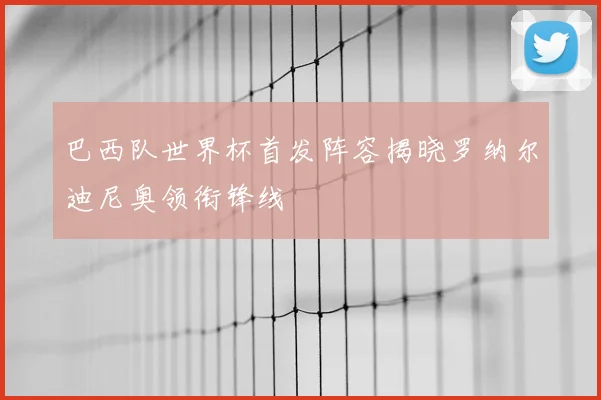 巴西队世界杯首发阵容揭晓罗纳尔迪尼奥领衔锋线