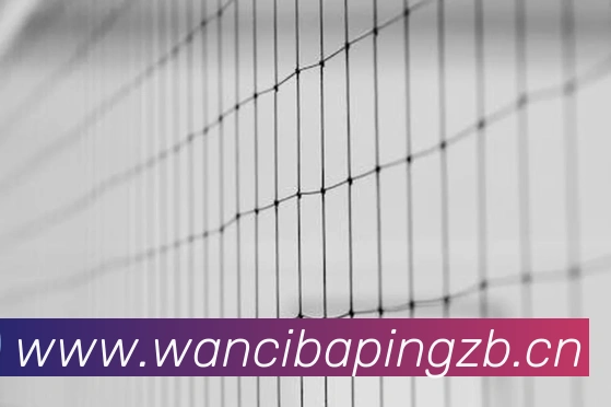 数据防护可视化